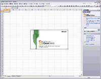 excel